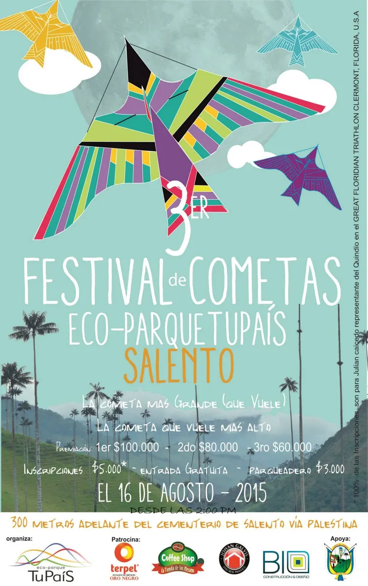 Afiche del tercer Festival de Cometas, 2015